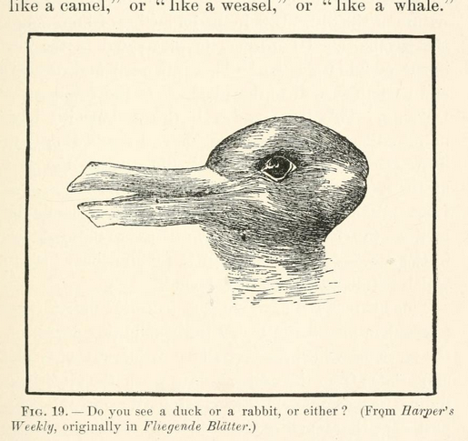 Joseph Jastrow (1901) used the popular image of a “duck-rabbit” to demonstrate that one’s mind supplies a frame to interpret visual stimuli (p. 295). Whether you see a duck or a rabbit depends on what you project onto the image, and one can switch from one frame to another. There is no way to view the image objectively.